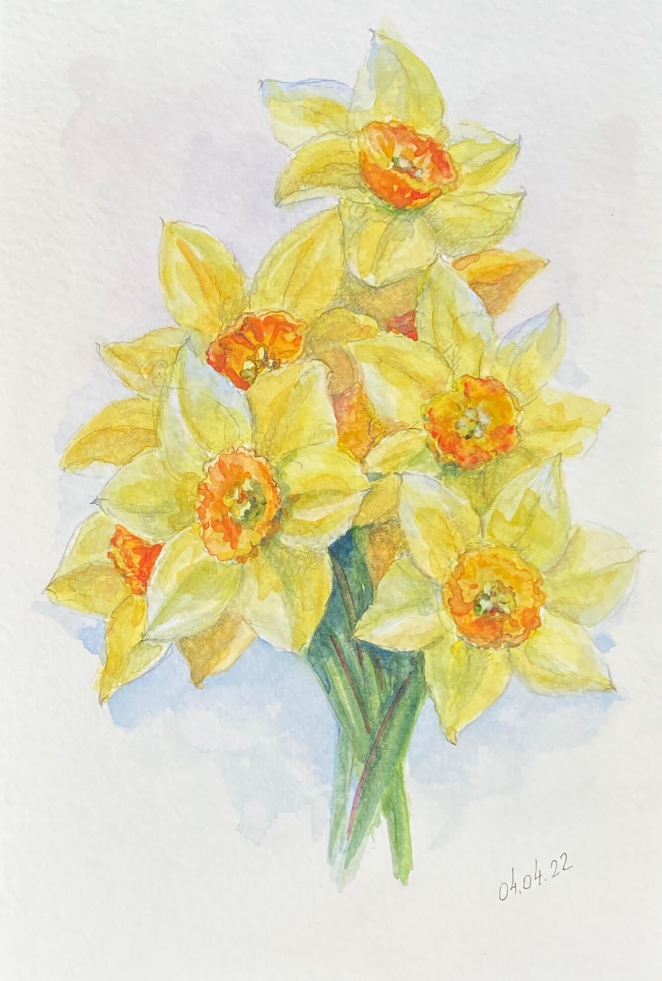 Daffodils